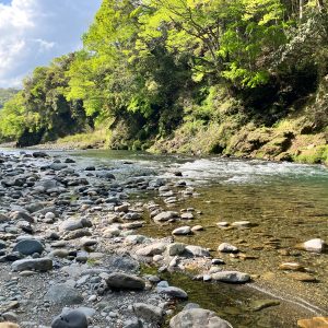 IMG_8406 Fly Fishing Guide Trip - River Fishing Reservation Ticket