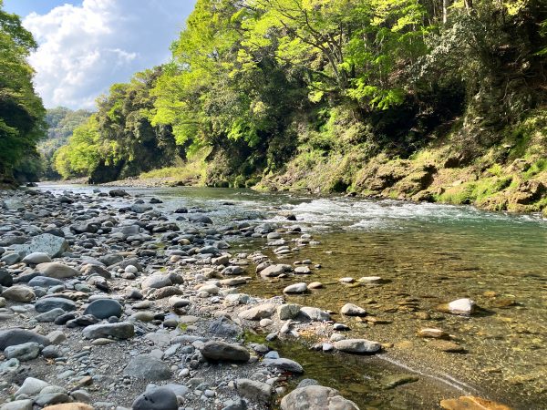 IMG_8406 Fly Fishing Guide Trip - River Fishing Reservation Ticket