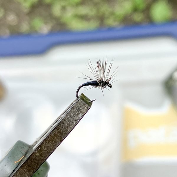 IMG_0263-2 テックストリーム | Textreme - ミッジスレッド 18-22/0 ・75D 100m