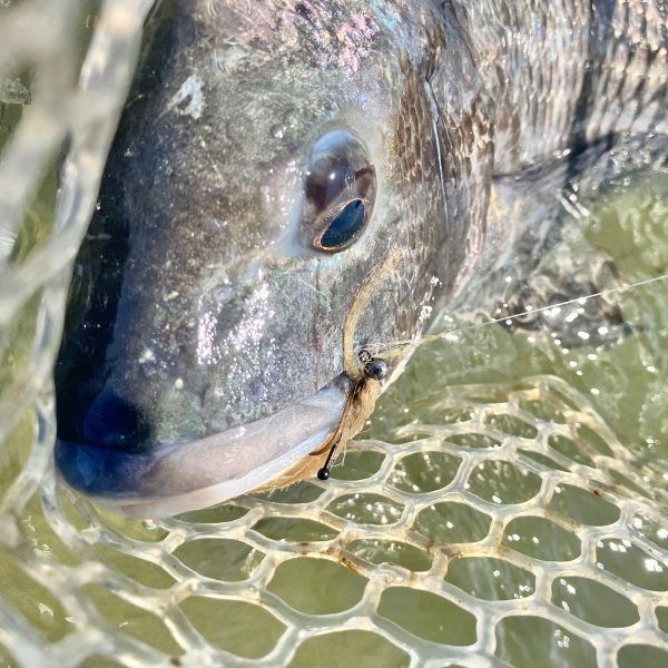 IMG_E0327 ドヒーク | Dohiku - 競技用バーブレス ジグフック HDJ