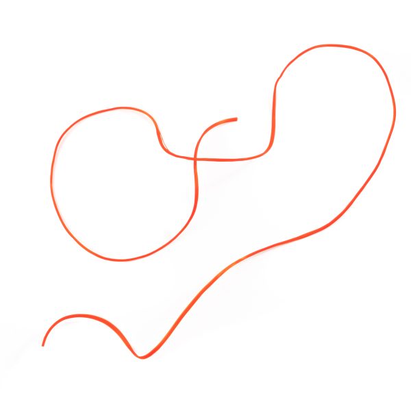 _DSC5816 ドヒーク | Dohiku -フレキシフロス