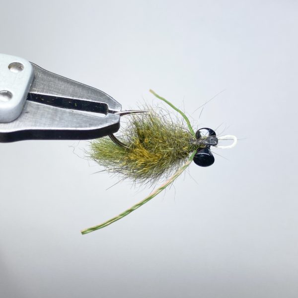 IMG_8629 ドヒーク | Dohiku -フレキシフロス