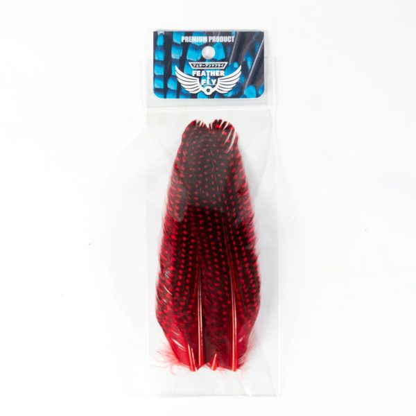 _DSC6833 フェザーアンドフライ | Feather & Fly - ギニアフォウル ダイドクイル: 2ペア