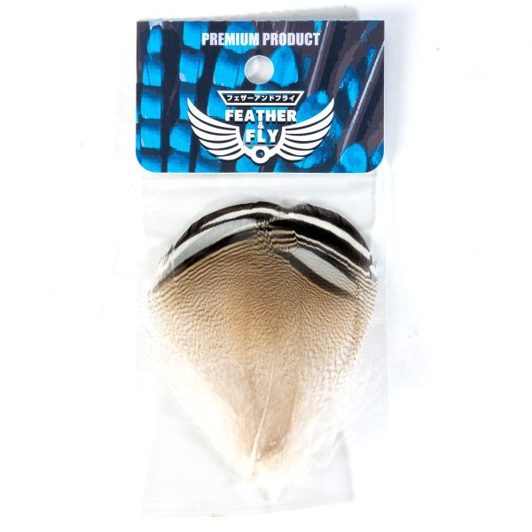 _DSC6863 フェザーアンドフライ | Feather & Fly - アメリカンウッドダック フランクフェザー:バードウッドダック セレクト2ペア 【限定お蔵出し品】