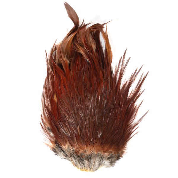 フェザーアンドフライ | Feather & Fly - ハックル：インドコックサドル