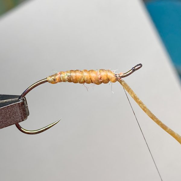 IMG_3323 ドヒーク | Dohiku - オーバルストレッチ ストリング 【Dリブ | D-rib】