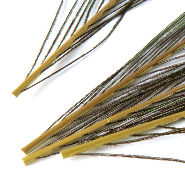 フェザーアンドフライ | Feather & Fly - ピーコックアイ: Sサイズ 4本セット