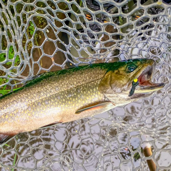 フライキャンパーズ | Fly Campers - 「もっふぃー」 ボディシェニール【全26色】