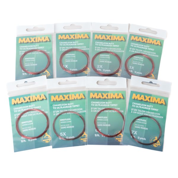 _DSC7542 マキシマ | Maxima - カメレオン ノットレス テーパードリーダー