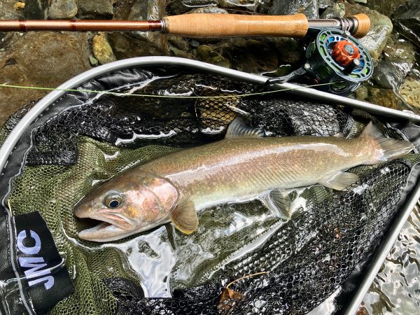 IMG_E5458 JMC - YOTO Nymph セミオートフライリール