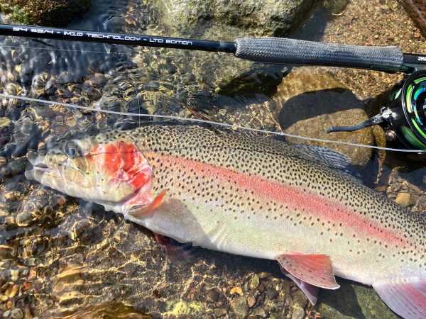 JMC - Performer Infinity | パフォーマー アンフィニティ 競技用フライロッド【WFFC 2025 フランス制式ロッド】