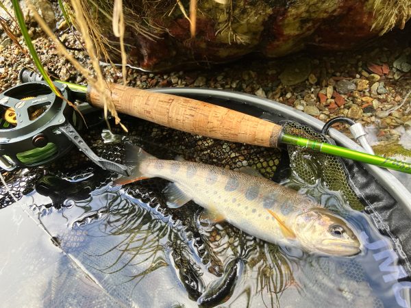 IMG_6074 JMC - YOTO XPR セミオートフライリール WF/DT/LVライン用