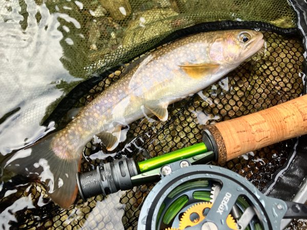 IMG_E6065 JMC - YOTO XPR セミオートフライリール WF/DT/LVライン用