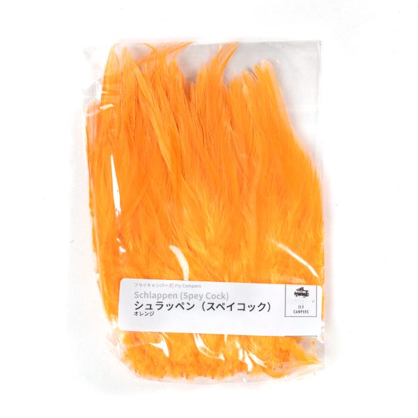 _DSC8324 フライキャンパーズ | Fly Campers - シュラッペン(スペイコック)