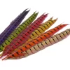 penna-di-coda-di-fagiano-1-classe-hotfly-1-pz-ca-50-cm ホットフライ | Hot Fly - フェザントテール ナチュラルカラー